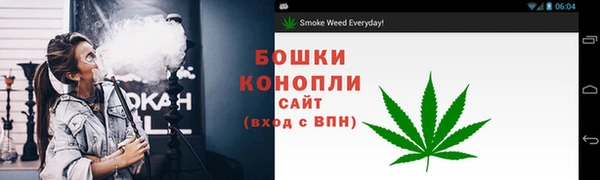 СК Аркадак
