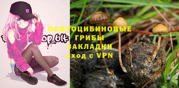 дживик Арсеньев